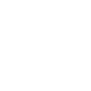 Technical Due Diligence